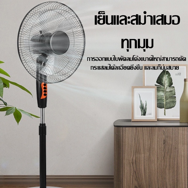 รูปภาพ 2