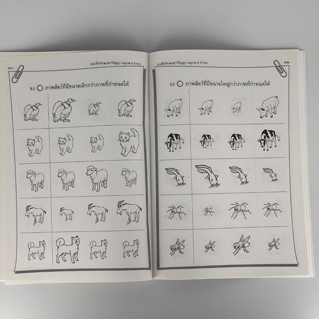 corcai  แบบฝึกทักษะ เชาวน์ปัญญา ชุดเตรียมความพร้อม สำหรับเด็ก 3-5 ขวบ ฝึกการสังเกต เปรียบเทียบ ความสัมพันธ์ สินค้าคุณภาพ - รูปที่ 3