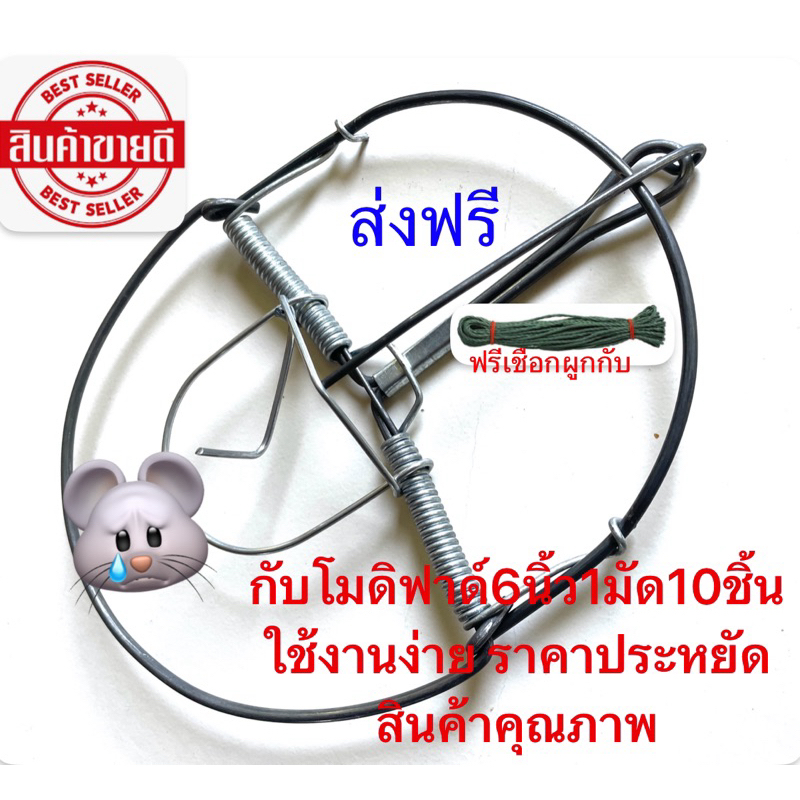 กับดักหนูโมดิฟาย6นิ้ว10ชิ้น (พร้อมส่งค่ะ)