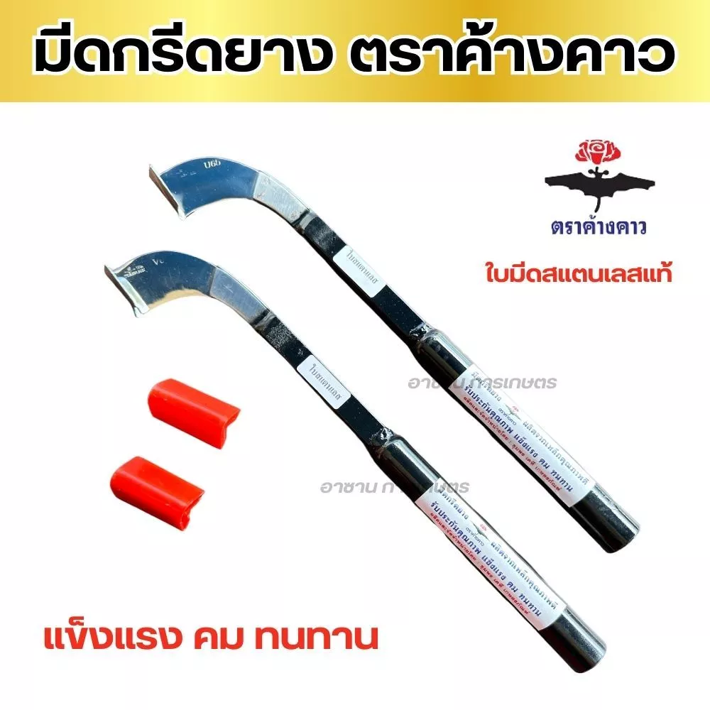 มีดกรีดยาง ใบมีดสแตนเลสแท้ 100% ไม่ขึ้นสนิม มีดกรีดยางพารา ตราค้างคาวคมนาน คมมาก (ลับคมแล้วพร้อมใช้งาน) ร่อง 60 ร่อง65