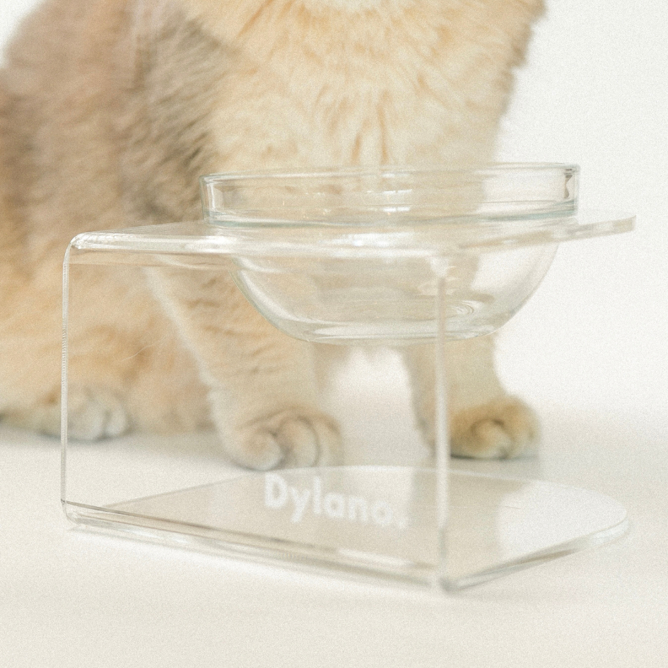 ชามอาหารสัตว์เลี้ยงยกสูงปรับองศา Dylano Elevated Pet Bowl (Size Petite XS) with Acrylic Stand