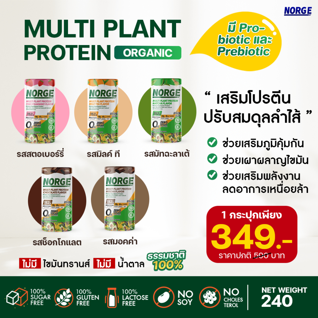 ฟรีแก้วเชค Norde Multi Plant Protein นอร์จ มัลติแพลนท์ รวมรส ไม่มีแลคโตส ไม่มีถั่วเหลือง โปรตีนสูง 19 กรัม น้ำตาล 0%