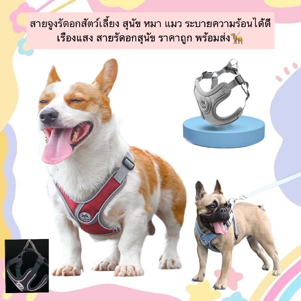AL-516 สายจูงรัดอกสัตว์เลี้ยง สุนัข หมา แมว ระบายความร้อนได้ดี สายรัดอกสุนัข ราคาถูก พร้อมส่ง