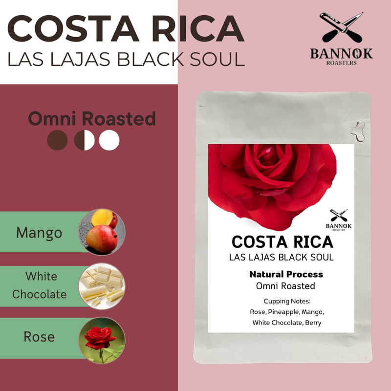 เมล็ดกาแฟคั่ว 🇨🇷 Costa Rica Las Lajas Black Soul - Bannok Coffee Roaster