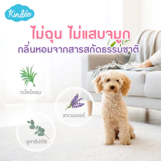 Kindee คินดี้ สเปรย์กันยุง ผลิตภัณฑ์กันยุง สำหรับเด็กแรกเกิด กลิ่นลาเวนเดอร์ เครื่องไล่ยุงไฟฟ้า