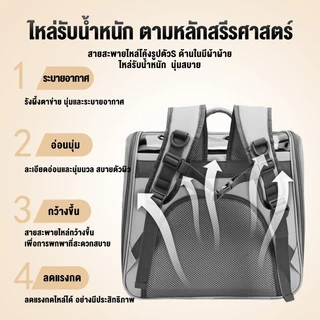 เป้แมว กระเป๋าแม ขนาดใหญ่ กระเป๋าเป้สัตว์เลี้ยง แบบพกพา กระเป๋าสะพา สัตว์เลี้ยง พับเก็บได้ ระบายอากาศได้