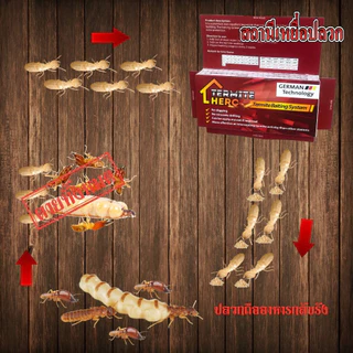 สถานีเหยื่อปลวก (8 กล่อง)/TERMITE HERO เหยื่อกำจัดปลวก/กับดักปลวก/ระบบเหยื่อล่อปลวก/ควบคุมแมลง