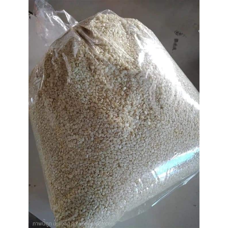 งาขาว ขายเมล็ดงาขาว1กิโลกรัม180บาท(สำหรับปลูกหรือรับประทาน)
