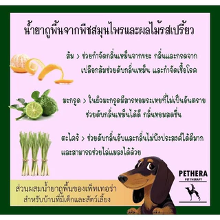 น้ำยาถูพื้นดับกลิ่นสัตว์เลี้ยง มี 3 กลื่นให้เลือก ดับกลิ่นอึฉี่ 5 ลิตร กลิ่นหอมขึ้น ขจัดเชื้อทุกแบบ