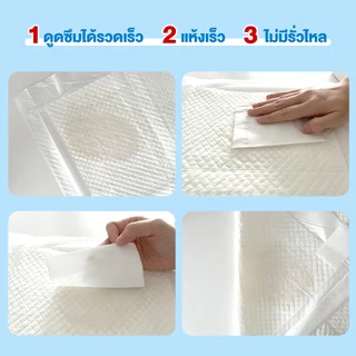 Petcho แผ่นรองฉี่ แผ่นรองฉี่สุนัข แผ่นรองซับ สัตว์เลี้ยง ซับได้มาก พลังการดูดซับ 6ชั้น ช่วยฝึกขับถ่าย