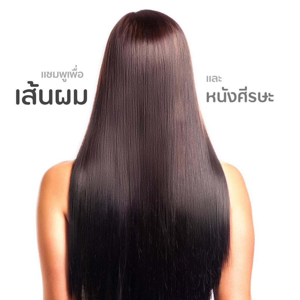 แชมพู ที ทรี เจนเทิล  THANTHAI TEA TREE GENTLE SHAMPOO (thanthai)