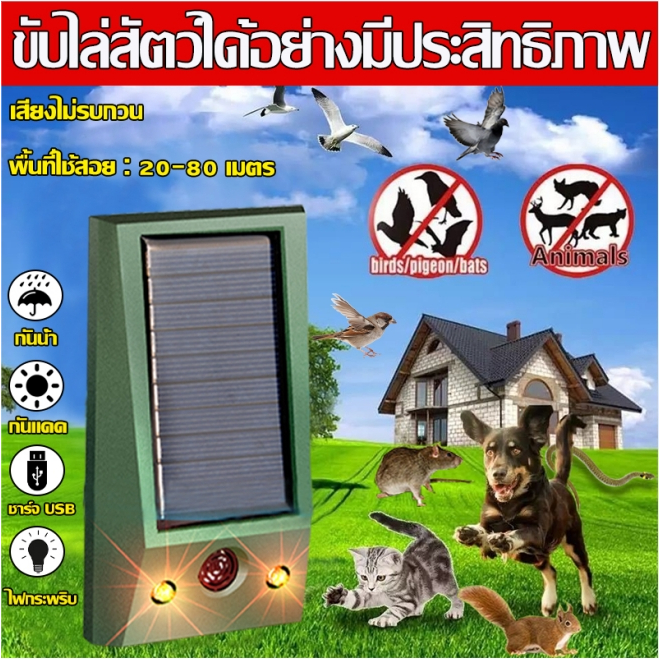 1วินาทีการไล่ออก 1000Mไม่มีนก เครื่องไล่นก ที่ไล่นกพิราบ พลังงานแสงอาทิตย์ ไล่สัตว์ อัลตราโซนิก360°แบบไม่มีเสียงรบกวน