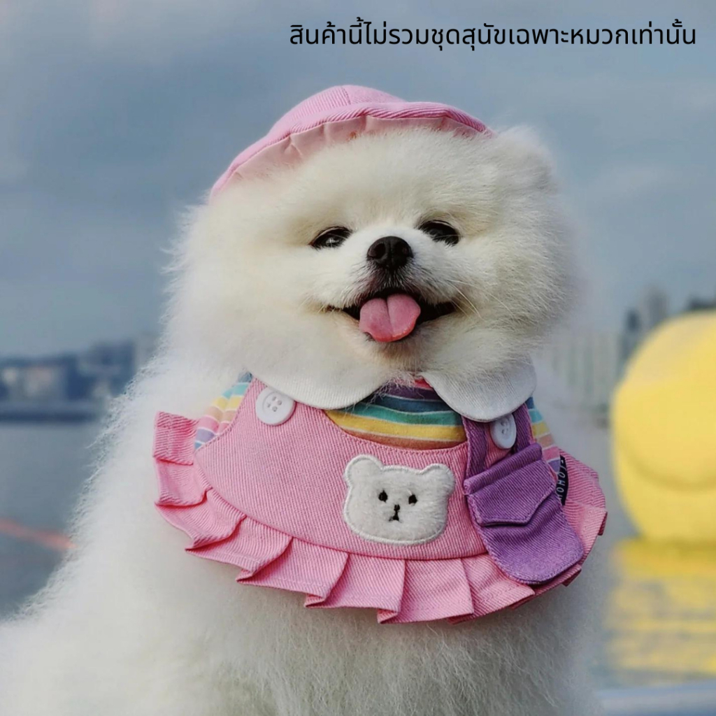 Momoji Pet Hat - Bear Collection หมวกสุนัข หมวกแมว หมวกสัตว์เลี้ยง