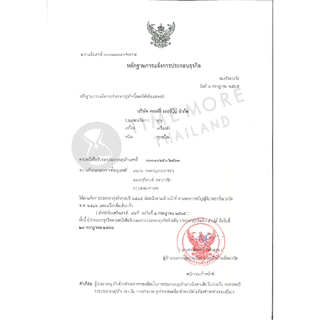 TIMEMORE เครื่องชั่งน้ำหนักดิจิตอล -- Black Mirror Scale Mini