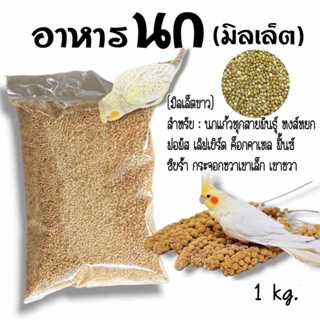 อาหารนก มิลเล็ตขาว White Millet เกรดA อาหารธัญพืชสำหรับนก บร…
