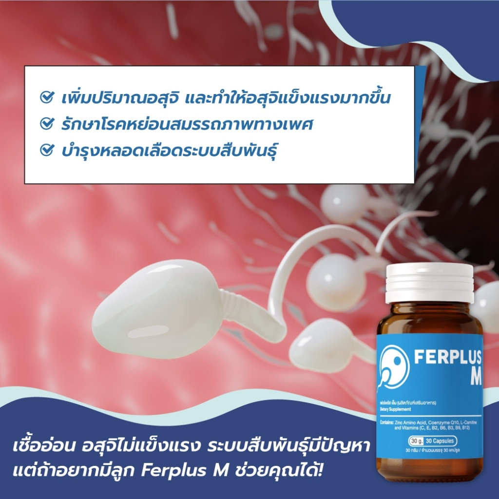 บำรุงอสุจิ Ferplus M เพิ่มอสุจิ เพิ่มโอกาสมีลูก สำหรับคนมีลูกยากอยากมีลูก