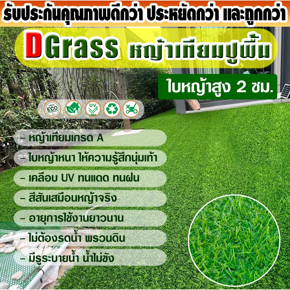 หญ้าเทียม ปูพื้น Dgrass สำหรับตกแต่งสวน บ้าน หญ้าเกรด A สีเหมือนจริง ความสูง 2 ซม. รุ่น 2X เขียวล้วน มีขนาดให้เลือก