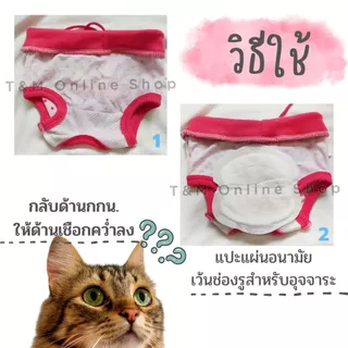 กางเกงอนามัยสัตว์เลี้ยง กางเกงอนามัยสุนัข-แมว ใส่ป้องกันฉี่ หรือขณะมีประจำเดือน สต๊อกพร้อมส่งจากไทย