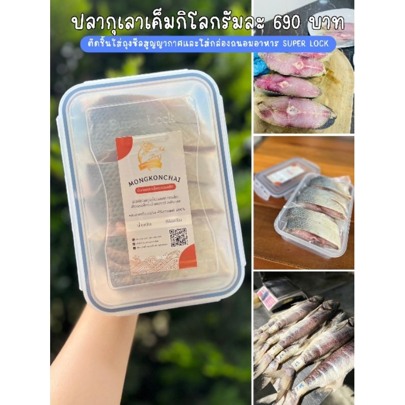 ปลากุเลาเค็ม​ ราคากิโลกรัมละ​ 690​ บาท​/กิโล​ ( ตัดชิ้นใส่ถุง​ซีล​สูญญากาศ​และใส่กล่องถนอมอาหาร super lock​)​