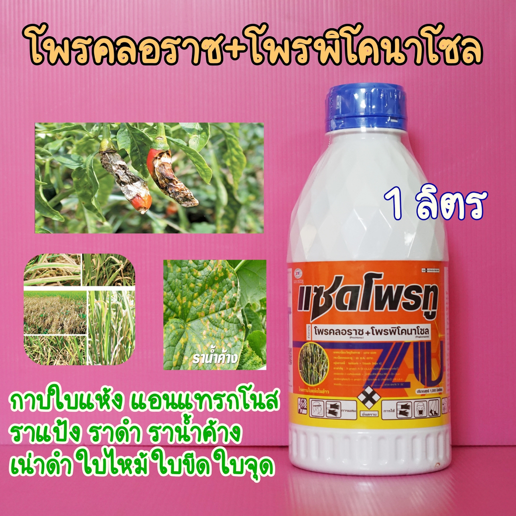 โพรคลอราซ+โพรพิโคนาโซล 1ลิตร คูโพรราส/แซดโพรทู  แอนแทรคโนส, ช่อดอกดำ, ผลเน่า, ราแป้ง ราดำ ช่อดอกดำ พ่นได้ทุกระยะ