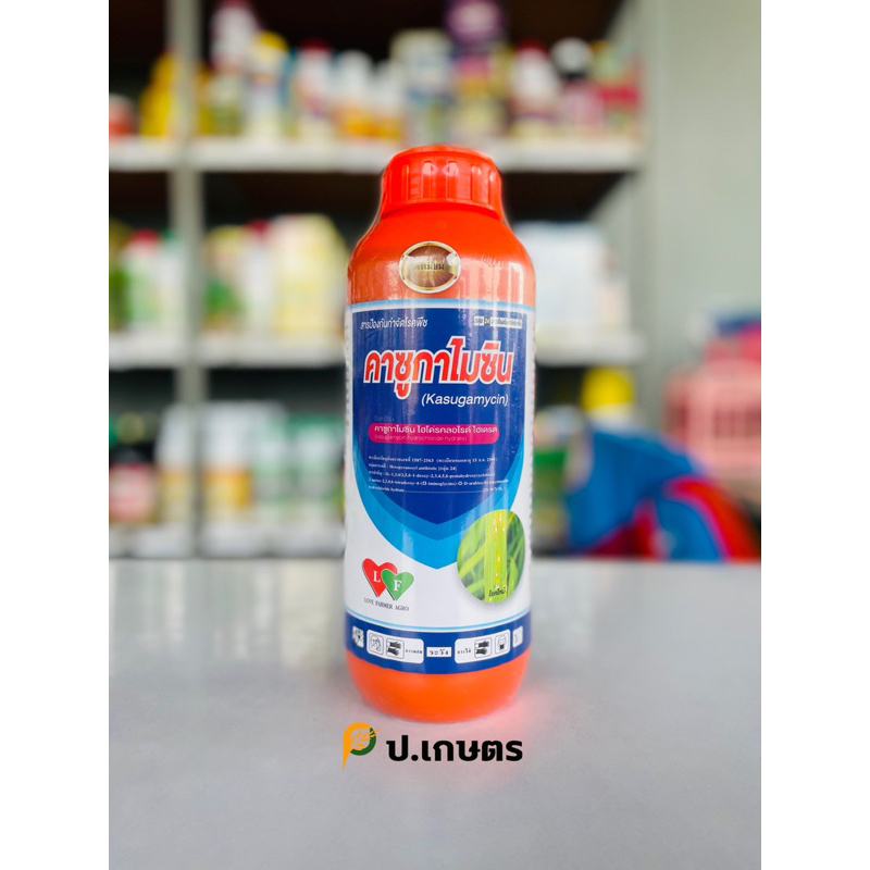 คาซูกาไมซิน(พรีเมี่ยม) 1ลิตร-ตราเลิฟฟาร์ม : ชื่อสามัญคาซูกาไมซิน2%SL(เขมือบเชื้อรา/แบคทีเรียในพืช/ใบไหม้/ขอบใบแห้ง)