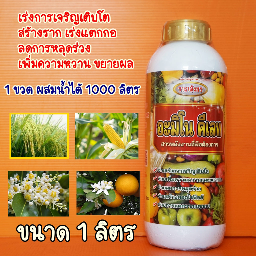สำหรับพืช อะมิโนคีเลท ขนาด1ลิตร สร้างราก แตกกอ ลดการหลุดร่วง เร่งการเจริญเติบโต ขยายผลเพิ่มความหวาน สร้างคลอโรฟิลล์