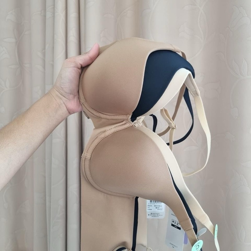 Sabina ซาบีน่า เสื้อชั้นใน  Seamless Fit รุ่น Perfect Bra มีโครง ฟองบาง เก็บทรง เก็บเต้า NBD24001/SB