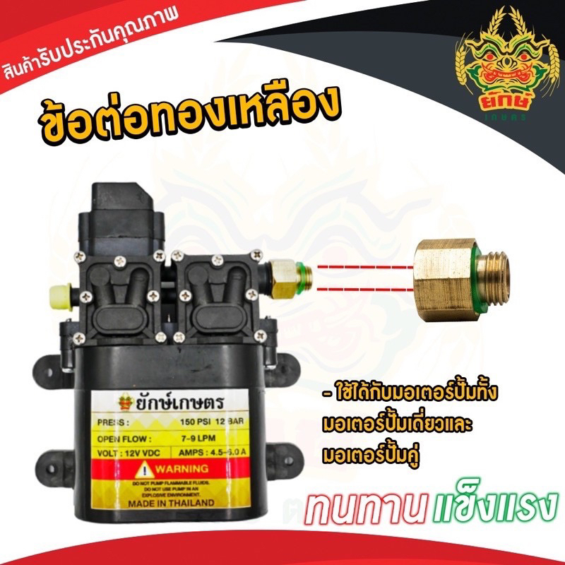 หัวทองเหลือง ข้อต่อทองเหลือง ใส่มอเตอร์ปั้มคู่ เกลียวลดขนาด ข้อต่อปั้มคู่ สินค้าพร้อมส่ง