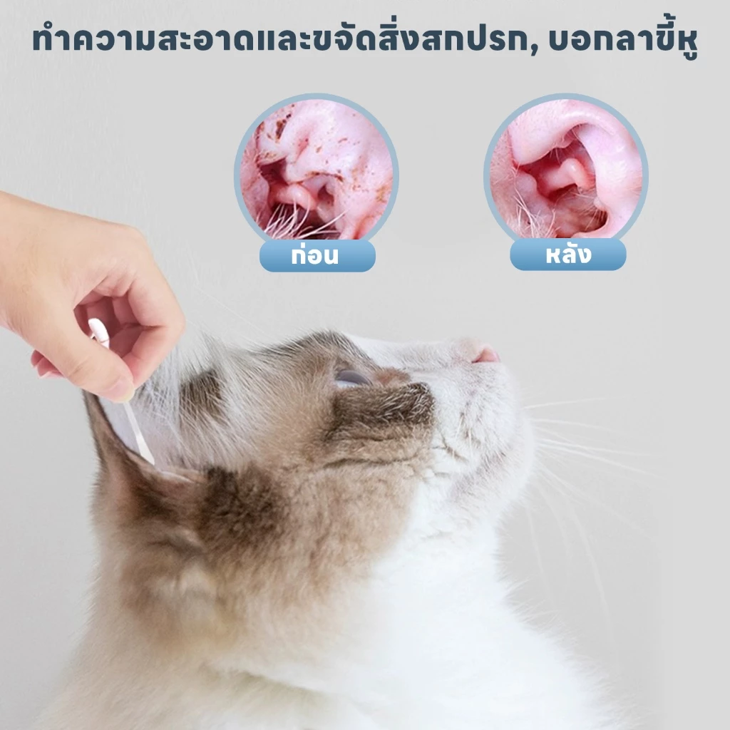 yoyopet : Cotton Bud สำลีก้านสัตว์เลี้ยง คอตตอนบัดสุนัข แมว+น้ำยาบำรุงช่องหู 50 ก้าน สินค้าพร้อมส่ง thumbnail 8