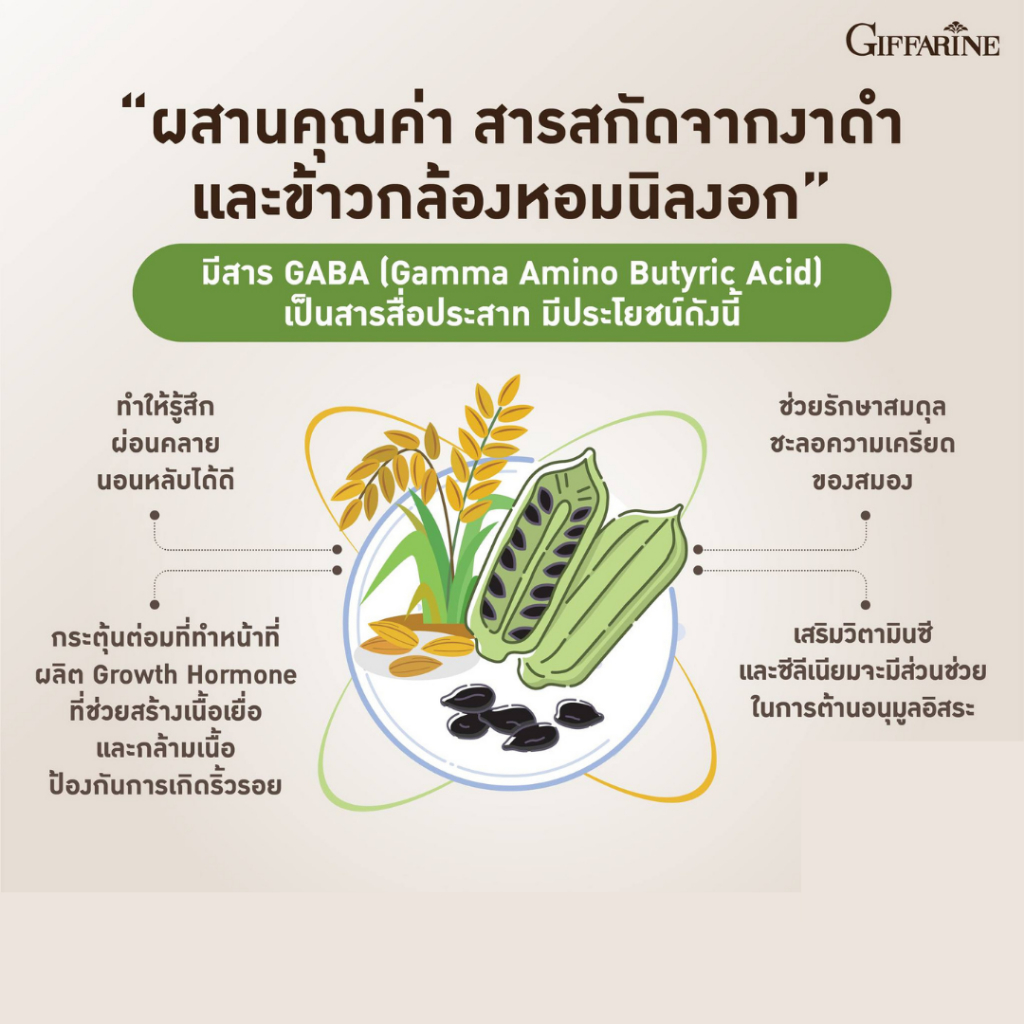งาดำกิฟฟารีน เซซามิ-เอส สารสกัดจากงาดำ สารเซซามิน20มก ดูแลกระดูก ตับ สมอง มะเร็ง ลดไขมันความดัน ราคา ถูกที่สุด ดีลบีเคเค แกลเลอรีภาพที่ 3
