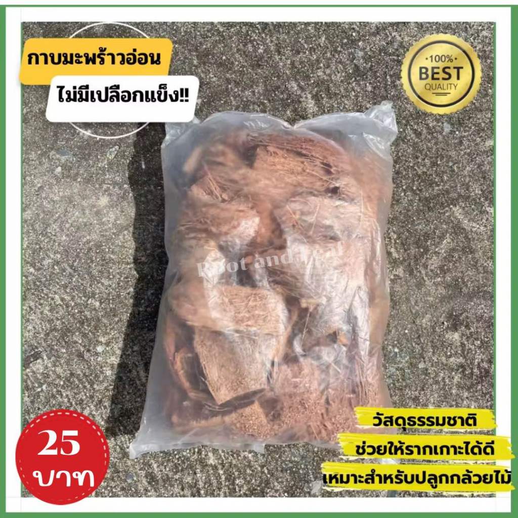กาบมะพร้าวอ่อน ไม่มีเปลือก !! วัสดุปลูกจากธรรมชาติ ให้ความชุ่มชื่น คลุมดิน ปลูกกล้วยไม้ รากอากาศเกาะดี