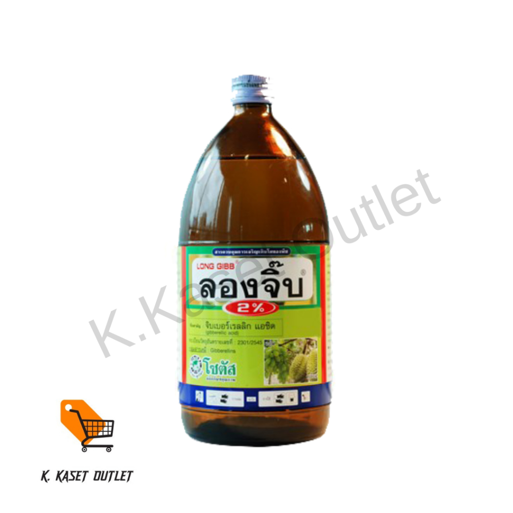 ลองจิ๊บ 2% (Long Gibb 2%) แก้ปัญหายอดสั้น ขั้วผลสั้น ข้อสั้น เนื่องจากใช้สารบังคับการออกดอก