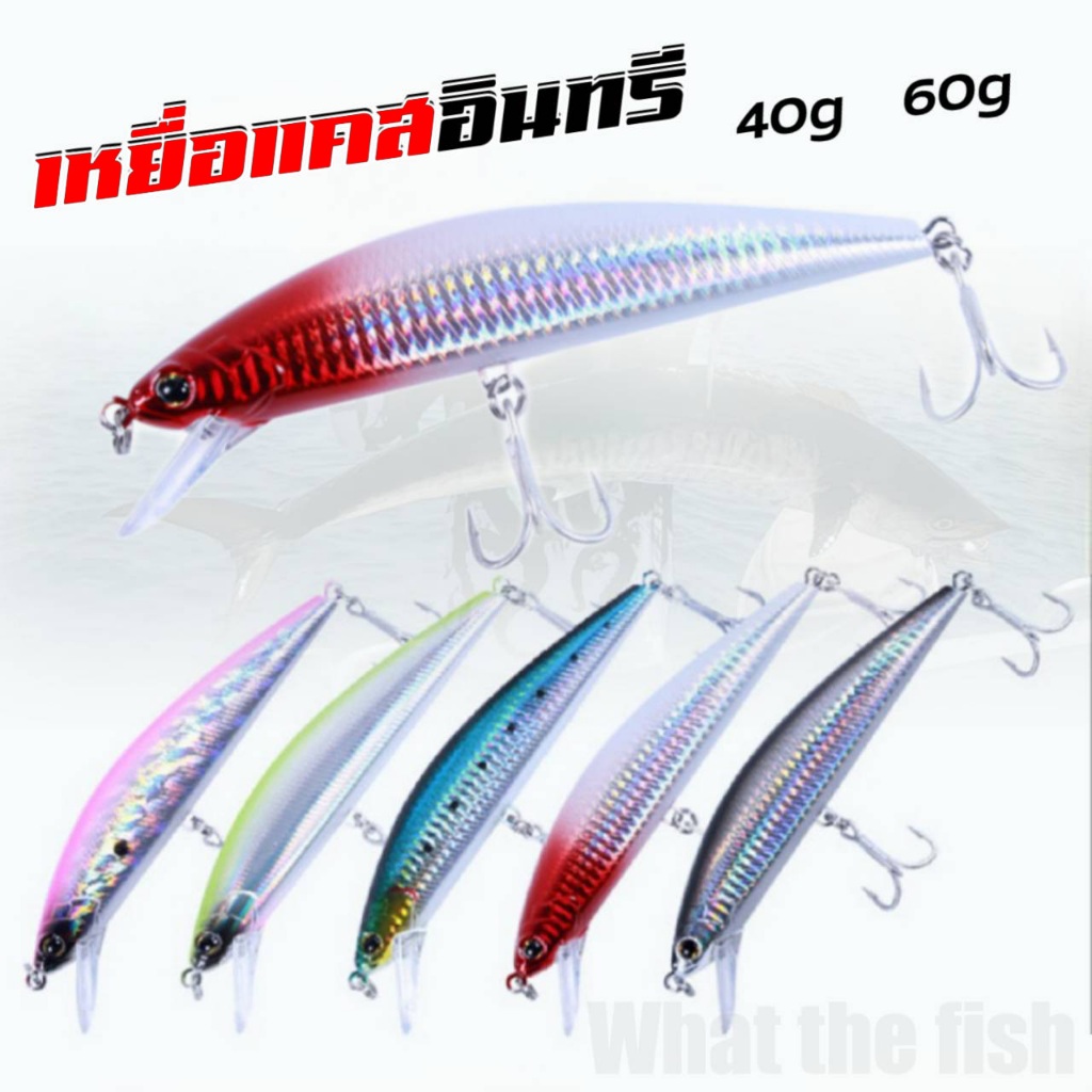 เหยื่อแคสอินทรี 40g 60g เหยื่อแคส เหยื่อปลั๊กมินนาว  เหยื่อแคสติ้ง เหยื่อแคสชายฝั่ง เหยื่ออินทรี ร้าน porpraew R80