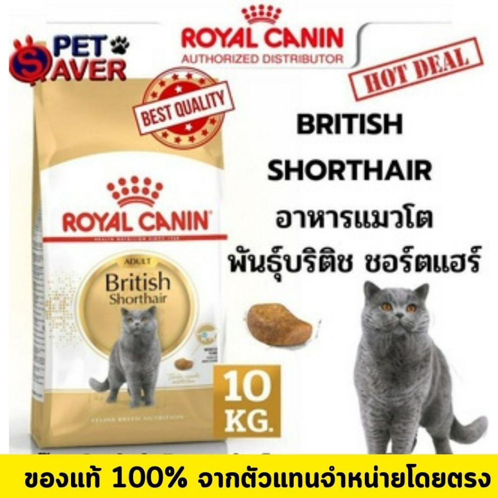 Royal Canin British Short hair adult 10Kg.  /kitten British 10kg. แมวโต /ลูก พันธุ์ บริติช ชอร์ตแฮร์