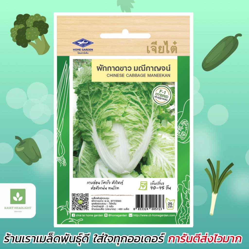 เมล็ดพันธุ์ ขาวปลี มณีกาญจน์ ตราเจียไต๋ F1 Chinese Cabbage ผักกาดขาว