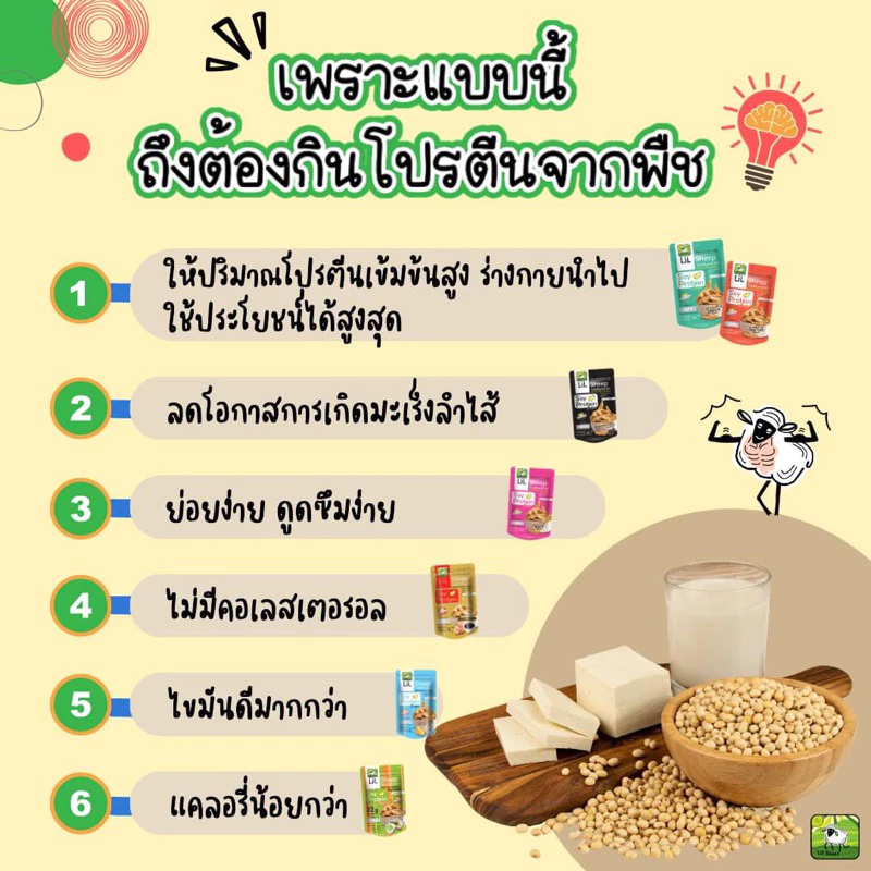 LiL Sheep โปรตีนกระจก 50 กรัม thumbnail 4