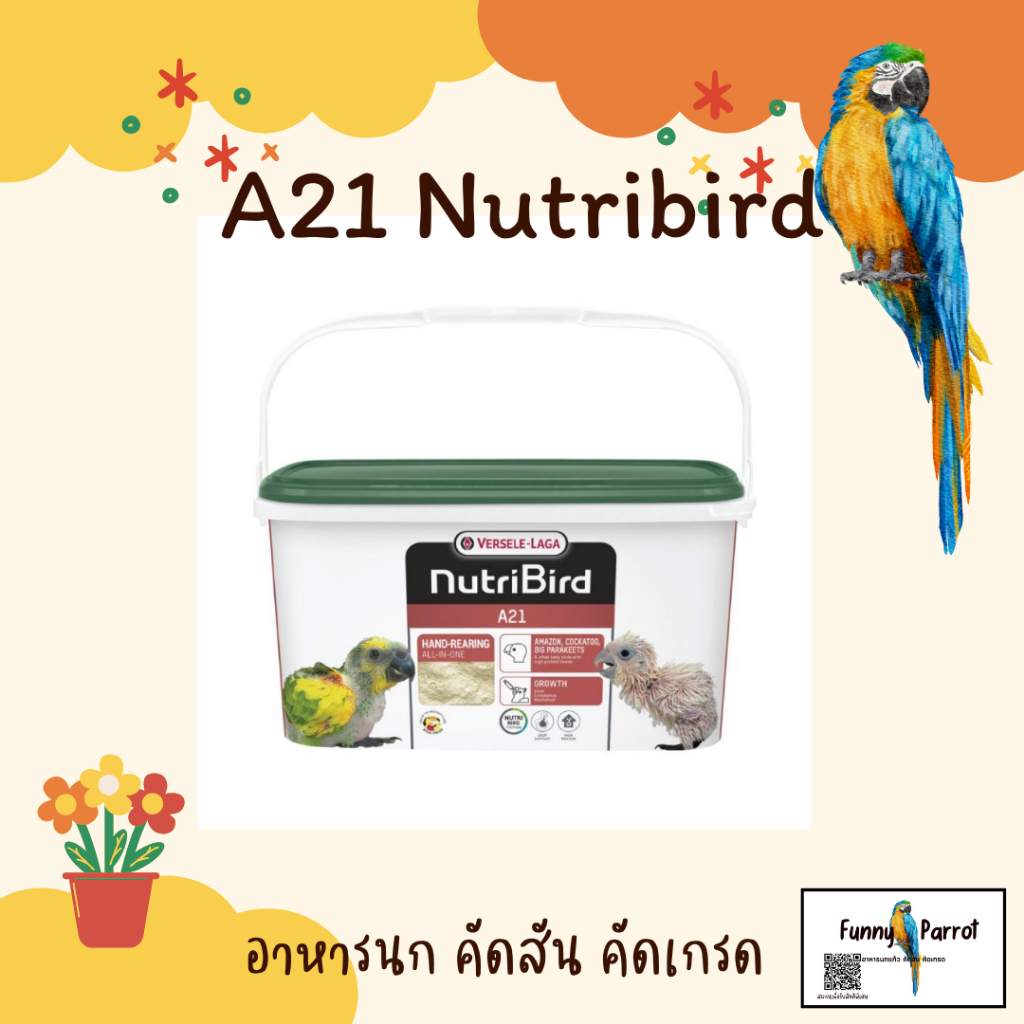 Nutribird อาหารนกลูกป้อนสูตรนกทั่วไป Nutribird A21