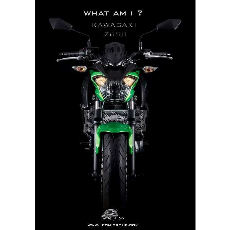 LEON การ์ดหม้อน้ำ Z650 ปี 2017 สีดำ