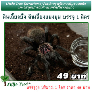 ดินเลี้ยงบึ้ง ดินเลี้ยงแมงมุม TARANTULAS แมงมุมดิน Terrestri…