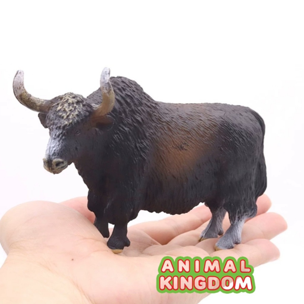 Animal Kingdom - โมเดลสัตว์ วัว ขนจามรี แดง ขนาด 14.50 CM (จากสงขลา)