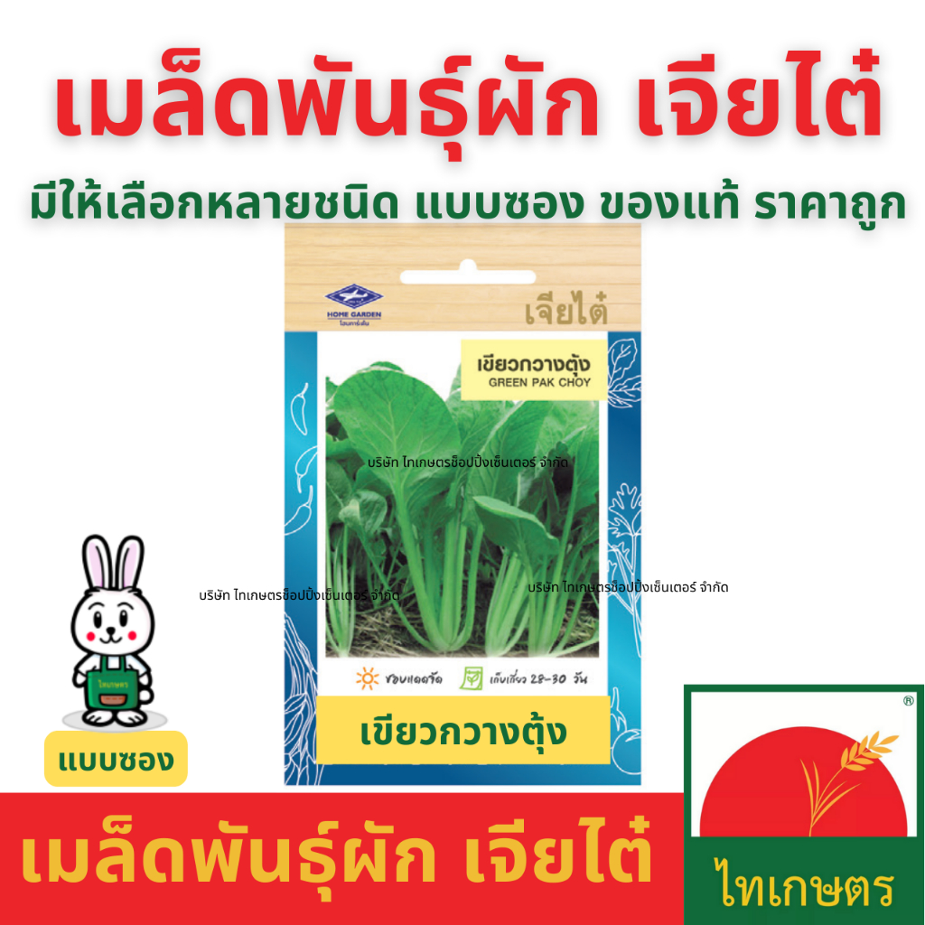 เมล็ดผัก เจียไต๋ เมล็ดพันธุ์ ผักซอง ผักบุ้ง ผักกาดขาว คะน้า กะเพรา คื่นช่าย ผักชี แตงกวา พริก ถั่ว ราคา ถูกที่สุด ดีลบีเคเค แกลเลอรีภาพที่ 2