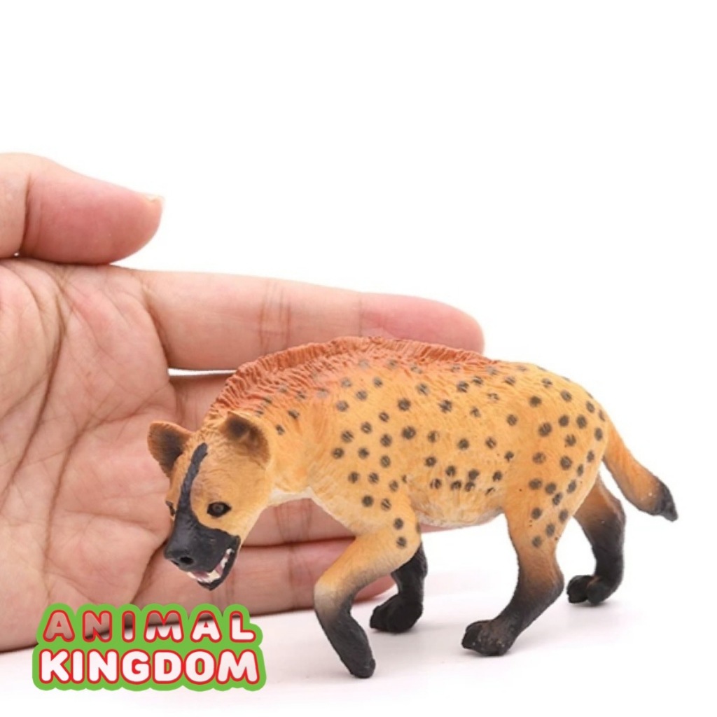 Animal Kingdom โมเดลสัตว์ Wolf, Hyena หมาป่า ไฮยีนา ส้ม ขนาด 11.00 CM (จากหาดใหญ่)