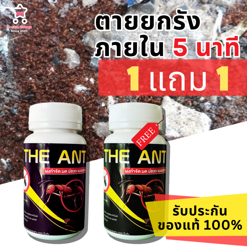 ลูกค้าใหม่ลดเพิ่ม 80.- (โปร 1 แถม 1) ได้ 2 กระปุก The Ant ผงกำจัด มด ปลวก แมลงสาบ สูตรตายยกรัง ภายใน 5 นาที