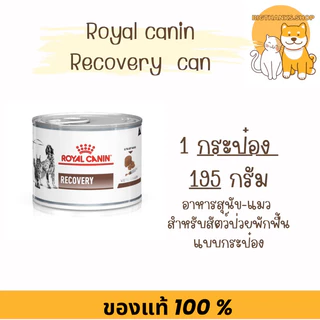 (( 1 กป.)) Royal canin Recovery 195 g. สำหรับ สุนัขแมว สัตว์ป่วยพักฟื้น exp 04/27