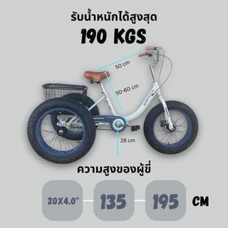 *OFFICIAL* จักรยานสามล้อ OSAKA MAMMOTH ขนาดวงล้อ 20x4.0 ดิสเบรค ตะกร้าใหญ่มีฝาปิด (ตะกร้าด้านหน้าต้องซื้อเพิ่ม)