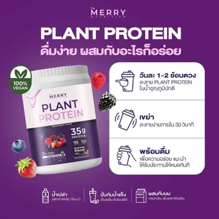 Merry Plant Protein โปรตีนพืช 5 ชนิด : รส Mixed Berry Flavor 1 กระปุก 2.3lb. / 1,050g[ 20 Servings ]