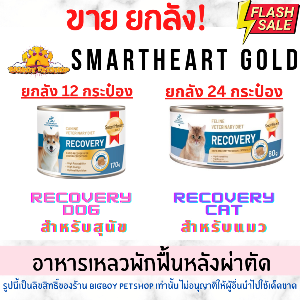 ยกลัง! SmartHeart Gold: Recoveryอาหารประกอบการรักษาโรคสำหรับสุนัขและแมวป่วยหรือป่วยพักฟื้นหลังผ่าตัด