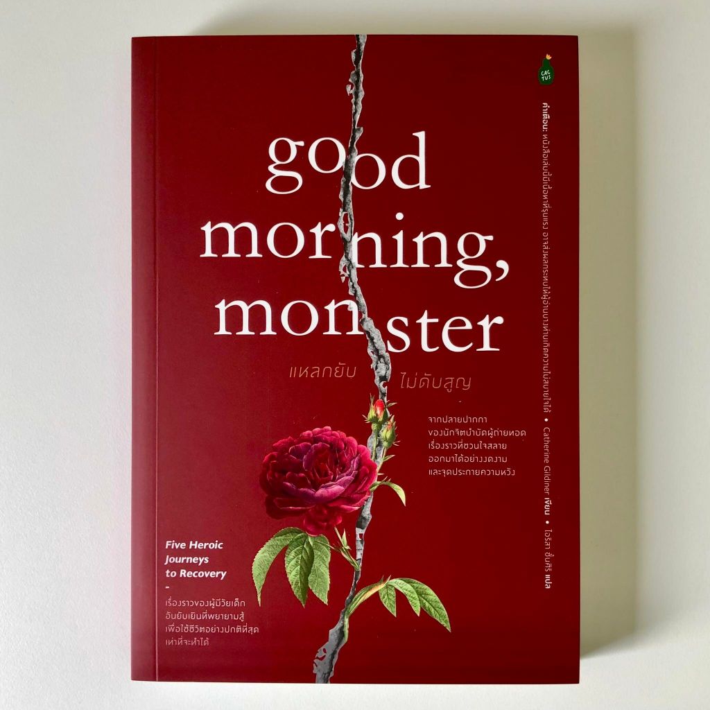 แหลกยับ ไม่ดับสูญ Good Morning, Monster: Five Heroic Journeys to Recovery / Catherine Gildiner มือหนึ่ง