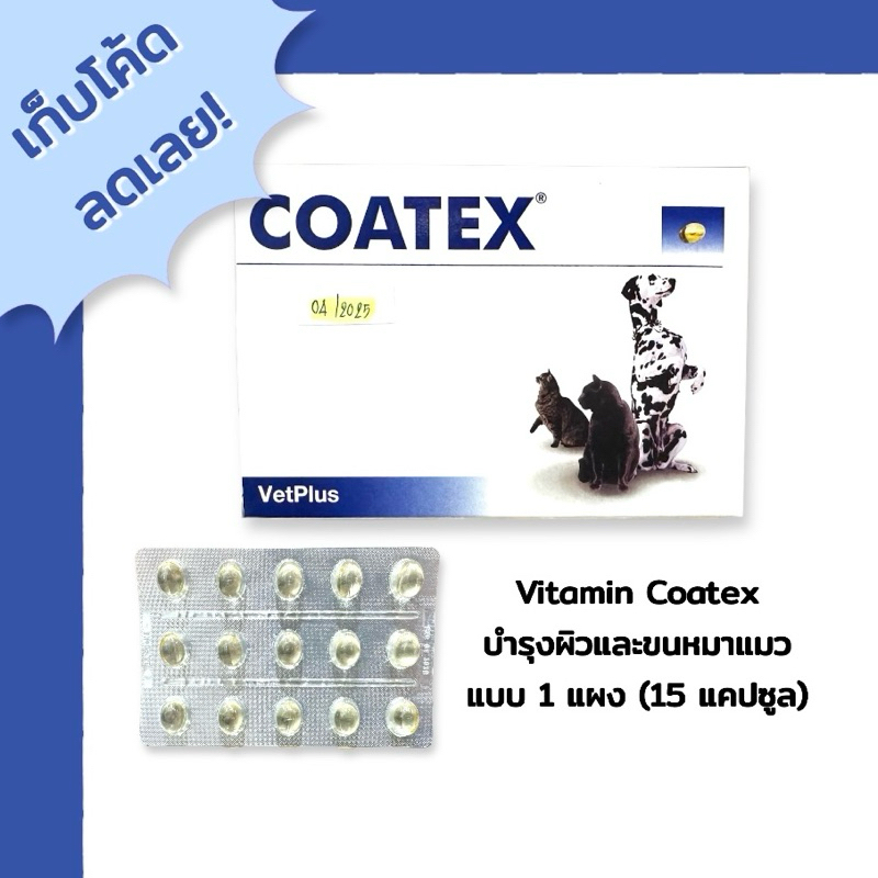 [ติดตามร้านรับส่วนลด] Coatex ชุด 15 แคปซูล (1 แผง) วิตามินบำรุงขนและผิวหนังสุนัขและแมว ลองใช้ Coatex / ของแท้ EXP.04/25