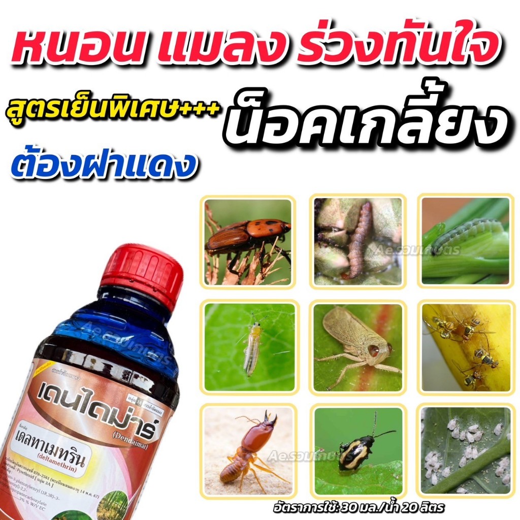 เดนไดมาร์ เดลทาเมทริน สูตรเย็นพิเศษ น็อคแมลงร่วงทันใจ ยาฆ่าแมลง กำจัดแมลง หนอน เพลี้ย ด้วง มด แม่บิน ขนาด 1 ลิตร